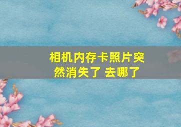 相机内存卡照片突然消失了 去哪了